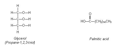 Glycerol can react with three palmitic acid molecules to form a ...